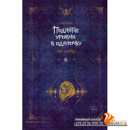 Поднятие уровня в одиночк/Поднятие уровня в одиночку. Solo Leveling. Книга 6
