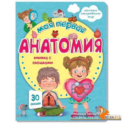Аркол/Книжка с окошками МОЯ ПЕРВАЯ АНАТОМИЯ