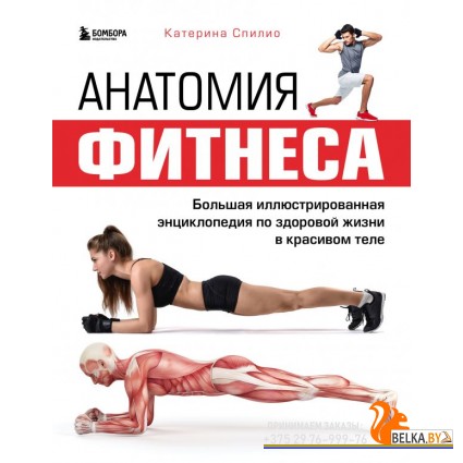 АнатСпорт/Анатомия фитнеса. Большая иллюстрированная энциклопедия по здоровой жизни в красивом теле