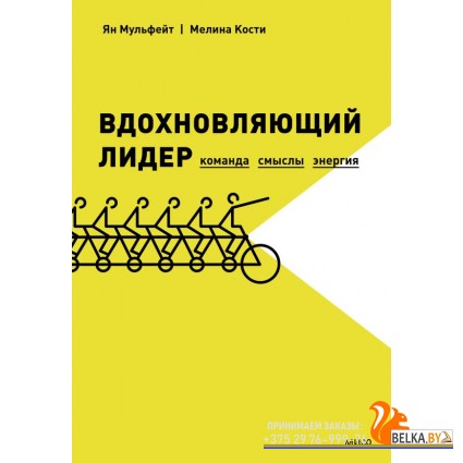 Библиотека лидера/Вдохновляющий лидер. Команда. Смыслы. Энергия