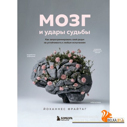 РабНадСоб/Мозг и удары судьбы. Как запрограммировать свой разум на устойчивость к любым испытаниям