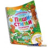 Росм Пиши-стирай. Лабиринты и ходилки