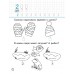 Фигуры. Цифры. Счет. 5-6 лет. Подготовка к школе (2022) сост. Г. М. Федорович, «Адукацыя і выхаванне»