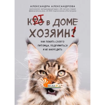 ДомПитУЗВ/Кот в доме хозяин! Как понять своего питомца, подружиться и не навредить