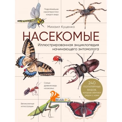 ПИЖивПр/Насекомые. Иллюстрированная энциклопедия начинающего энтомолога. 240 популярных видов, котор