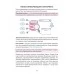 Информатика. 5-11 классы. Необходимый школьный минимум (2023) Аксёнова О.И., "Кузьма"
