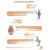 English Steps. Beginner. Student's Book. Школьная программа (2017) Л. А. Борисова, "Сэр-Вит" (для ученика)